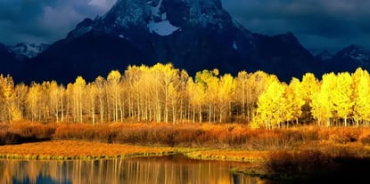 Understanding the Industrial PR Agency: Role and Benefits for Executives