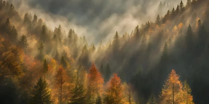 How to Create Brand Awareness in a New Market: 4 Key Steps