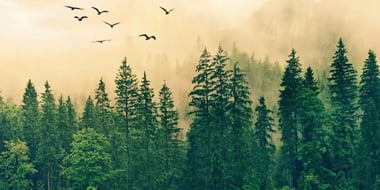 7 Reasons to Choose an E-commerce Email Marketing Agency