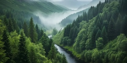 Master Duplicate Content on Same Domain: Causes, Impacts, and Solutions