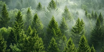 Understanding B2B Sales Enablement: Definition and Key Insights