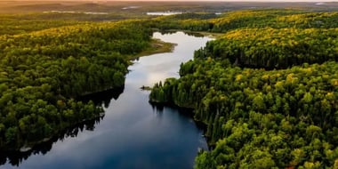 5 Steps to Choose the Right Digital Marketing Ads Agency