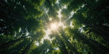 How to Qualify Inbound Leads: 5 Steps for Manufacturing Executives