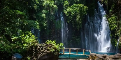 Master Digital Brand Campaigns: 4 Best Practices for Success