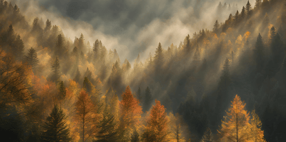 The Future of Lead Scoring in HubSpot: Trends and Innovations