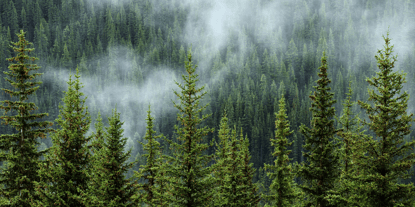 9+ Email Marketing Tips for the Manufacturing Industry