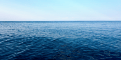 Shifting to WFH Company Culture