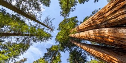 10 Essential Tools for Effective B2B Lead Gen Success