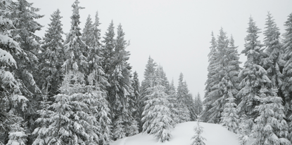 Improve Your Online Lead Generation Tactics Today