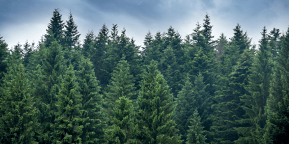 Selling Through LinkedIn Without Using Ads