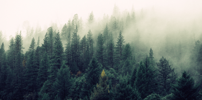 Master B2B Digital Marketing: Strategies for Manufacturing Success