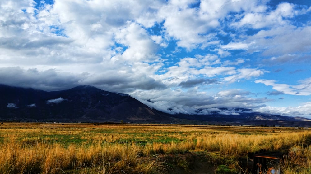 Carson City Marketing Agency
