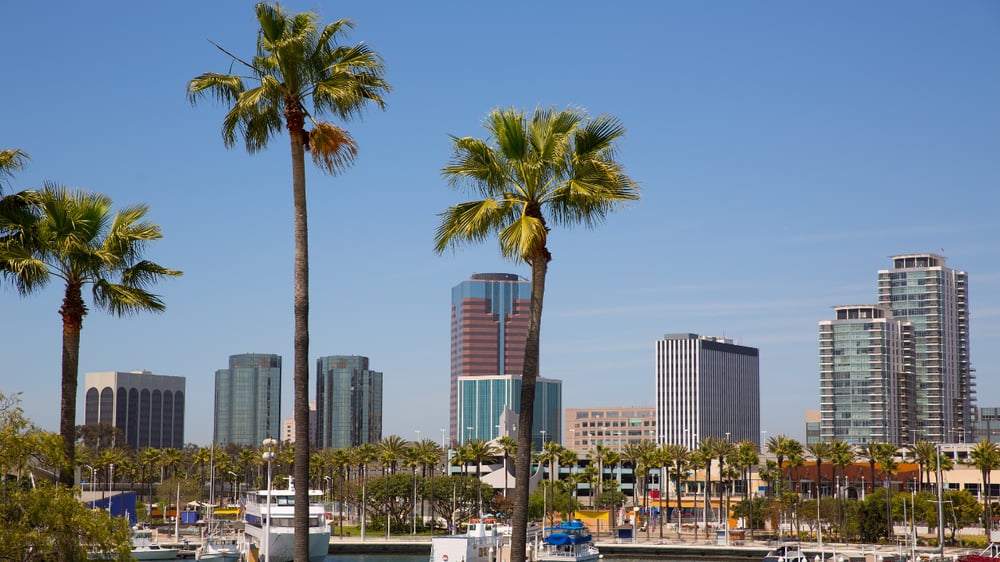 Long Beach Marketing Agency