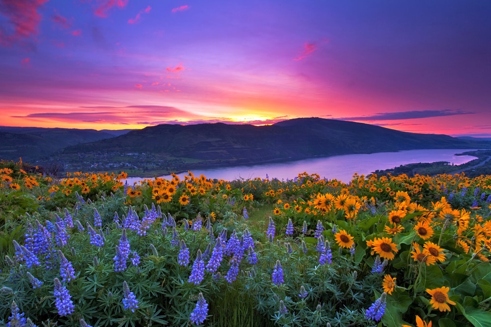 Portland Marketing Agency