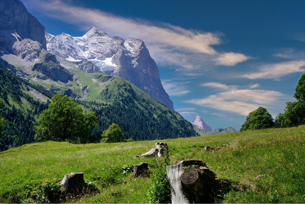 Scenic View of Swiss Alps with Lush Green Landscape