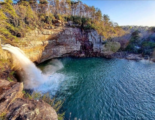 Marketing in the Heart of Dixie