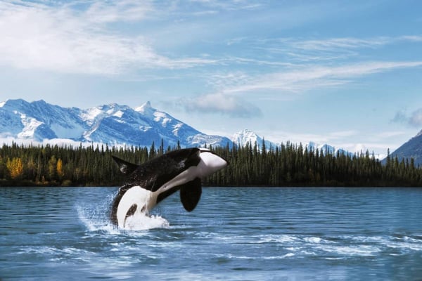 Our Favorite Things To Do In Alaska