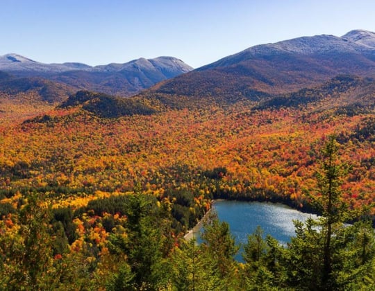 Marketing in Albany, New York