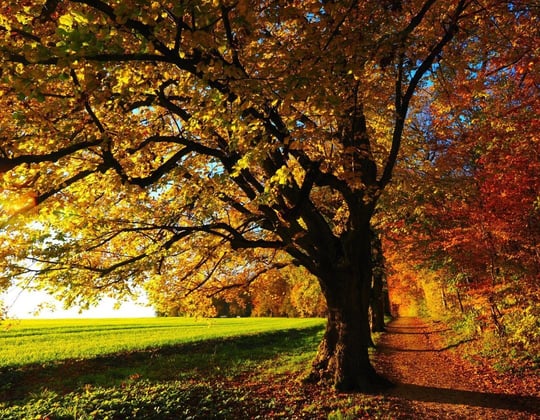 Marketing in Alpharetta, Georgia