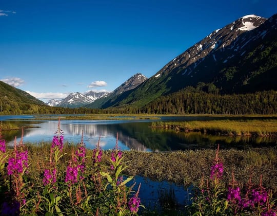 Why we love marketing in Anchorage, Alaska