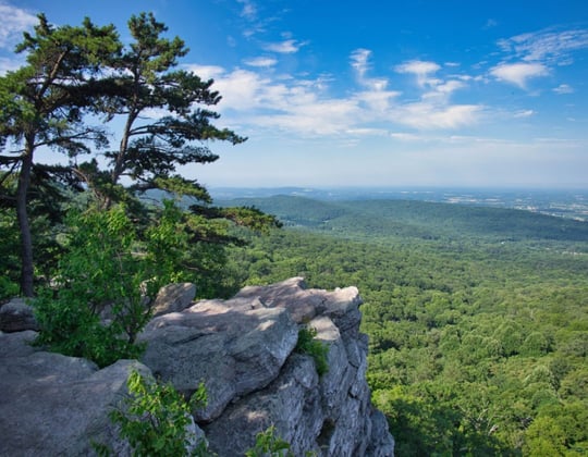 Why we love marketing in Annapolis, Maryland