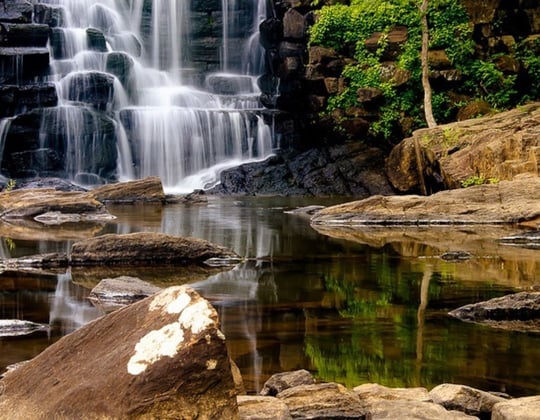 Why we love marketing in Auburn, Alabama