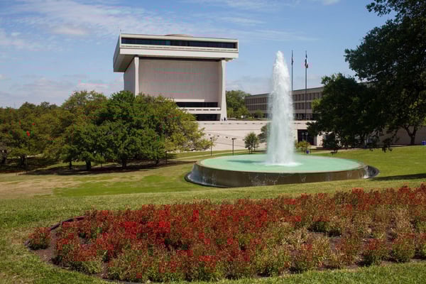 Our Favorite Things To Do In Austin