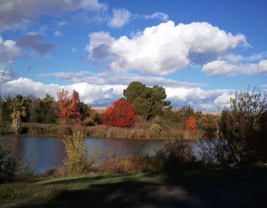 Why we love marketing in Bakersfield, California