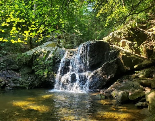 Why we love marketing in Baltimore, Maryland