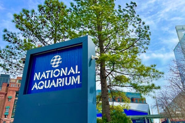 Our Favorite Things To Do In Baltimore