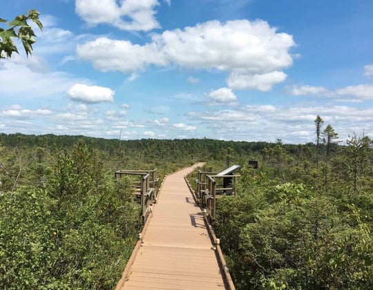 Why we love marketing in Bangor, Maine