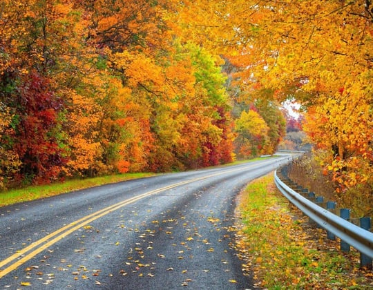 Why we love marketing in Boise, Idaho