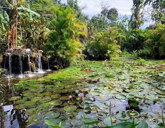 Why we love marketing in Bonita Springs, Florida