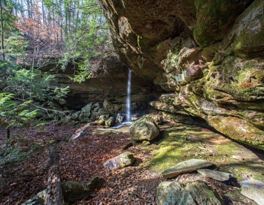 Why we love marketing in Bowling Green, Kentucky