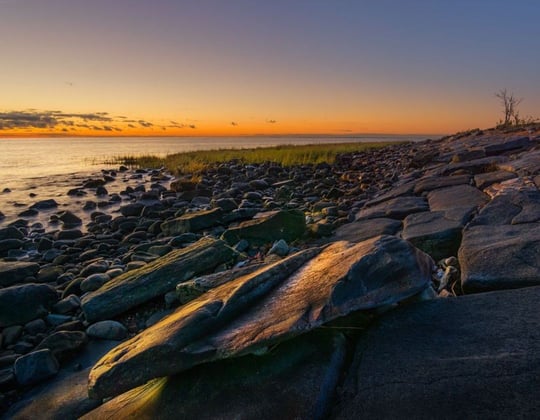 Why we love marketing in Bridgeport, Connecticut