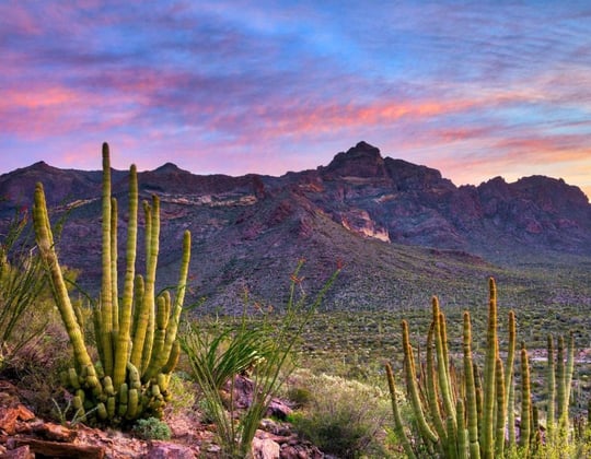 Why we love marketing in Buckeye, Arizona