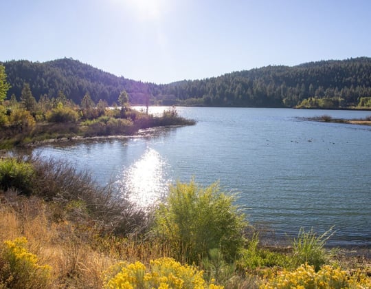 Marketing in Carson City, Nevada