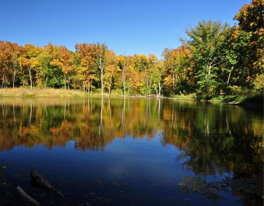 Why we love marketing in Cedar Rapids, Iowa