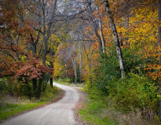 Why we love marketing in Champaign, Illinois