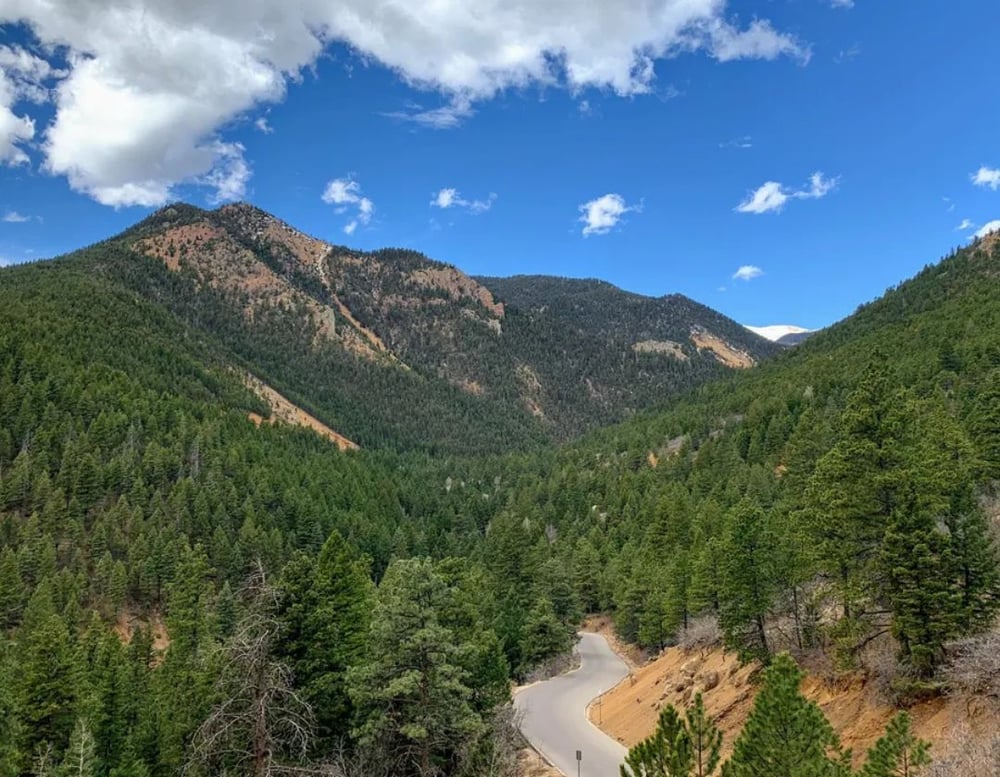 Cheyenne Marketing Agency