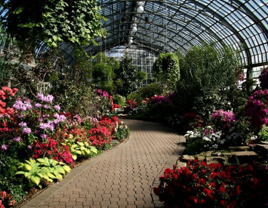 Why we love marketing in Chicago, Illinois