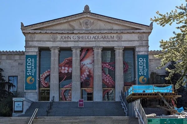 Our Favorite Things To Do In Chicago 