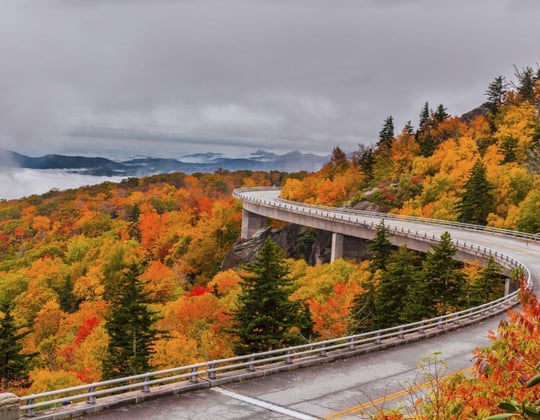 Marketing in Columbia, South Carolina