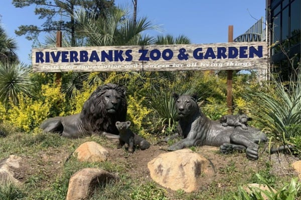 Our Favorite Things To Do In Columbia