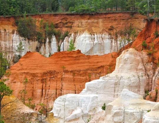 Why we love marketing in Columbus, Georgia