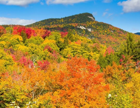 Marketing in Concord, New Hampshire