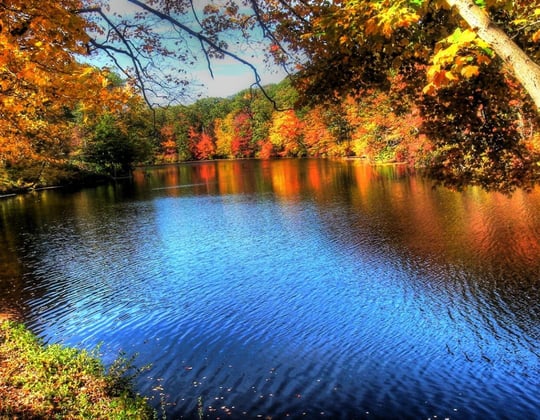 Marketing in the Constitution State