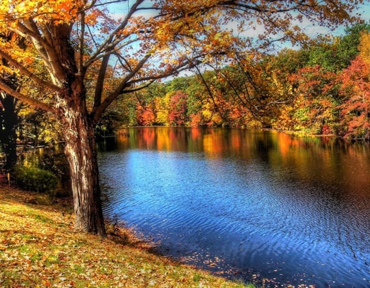 Why we love marketing in Danbury, Connecticut