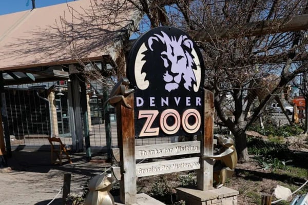 Our Favorite Things To Do In Denver