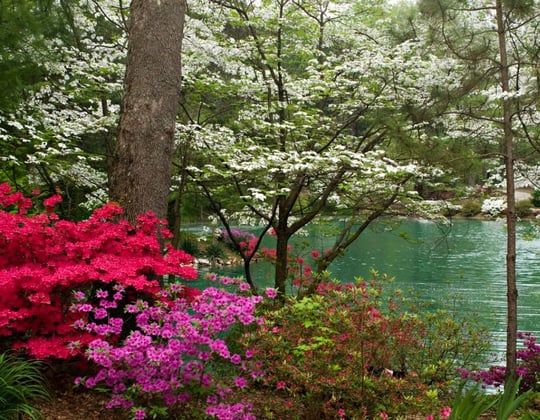 Why we love marketing in Evansville, Indiana